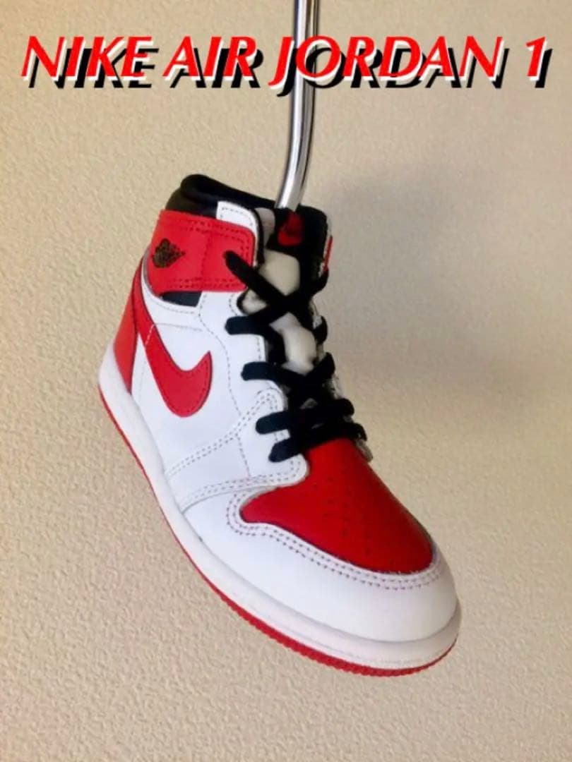 【超レア・新品】 NIKE JORDAN 1 ナイキ ジョーダン パターカバー