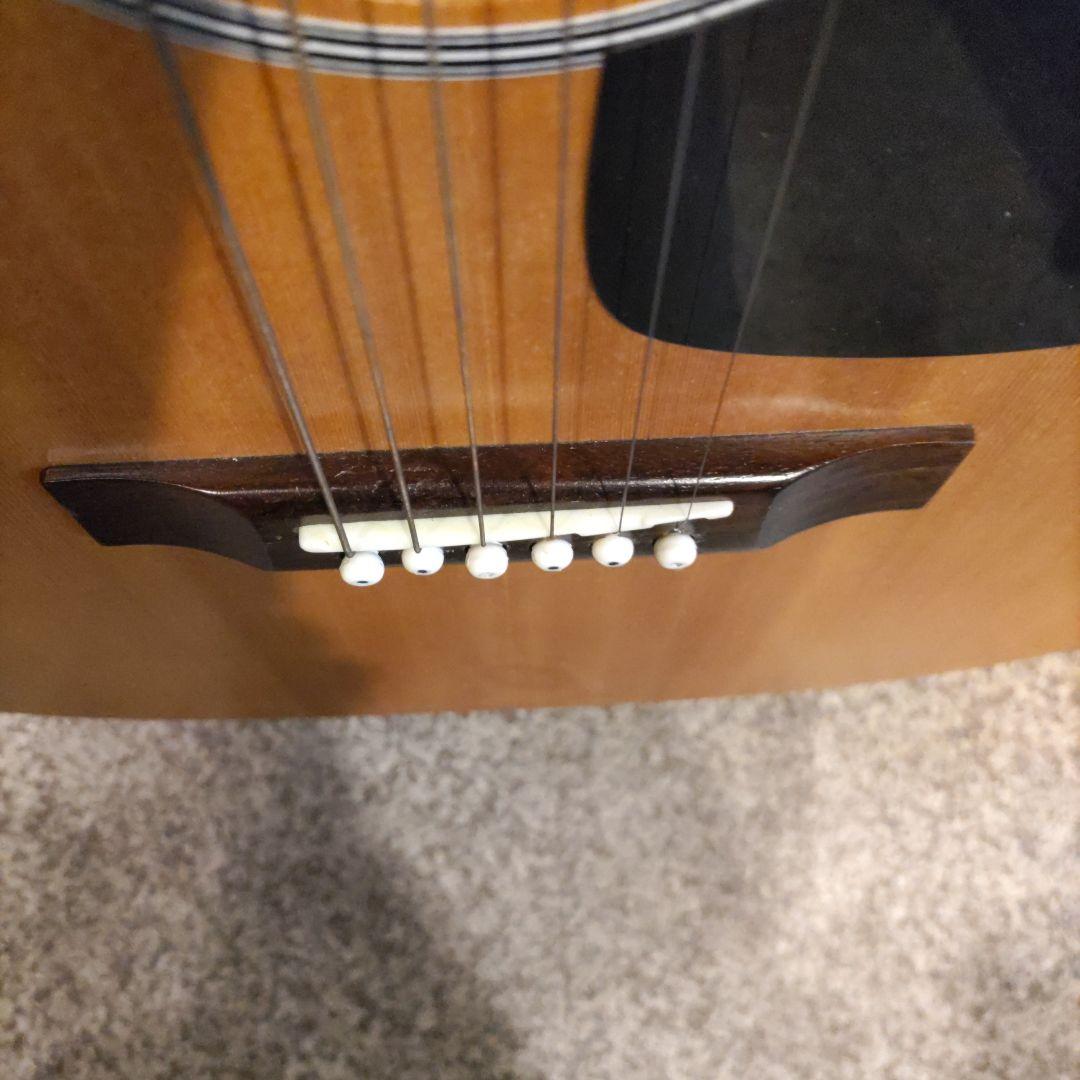 ジャパンヴィンテージ ariana by ARIA エレアコ FG-12