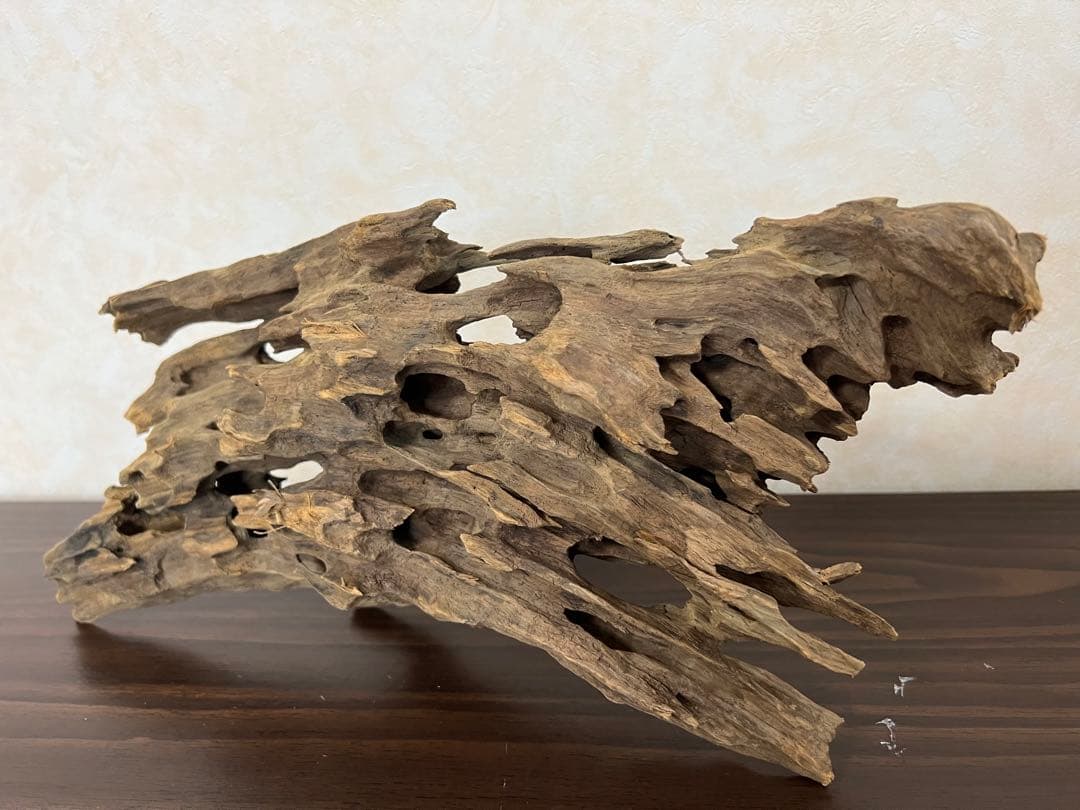 XM-212 流木　マシンガンウッド　アクアリウム　沈水確認済ブランチウッド