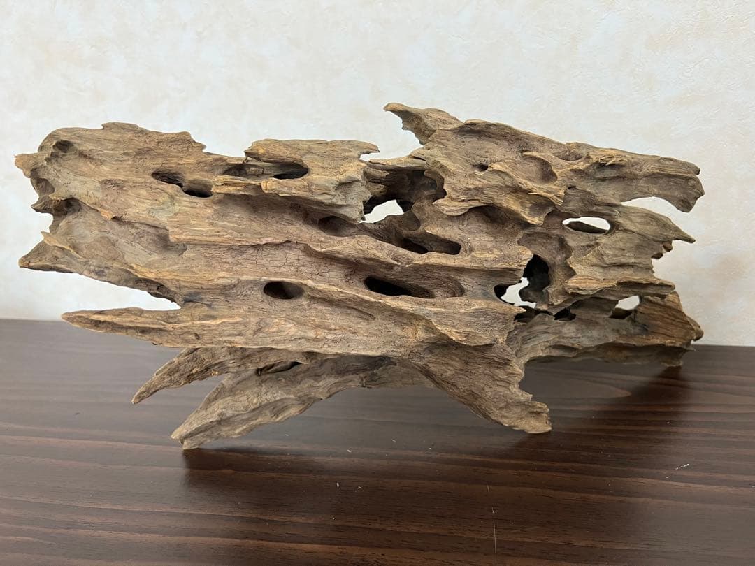 XM-212 流木　マシンガンウッド　アクアリウム　沈水確認済ブランチウッド