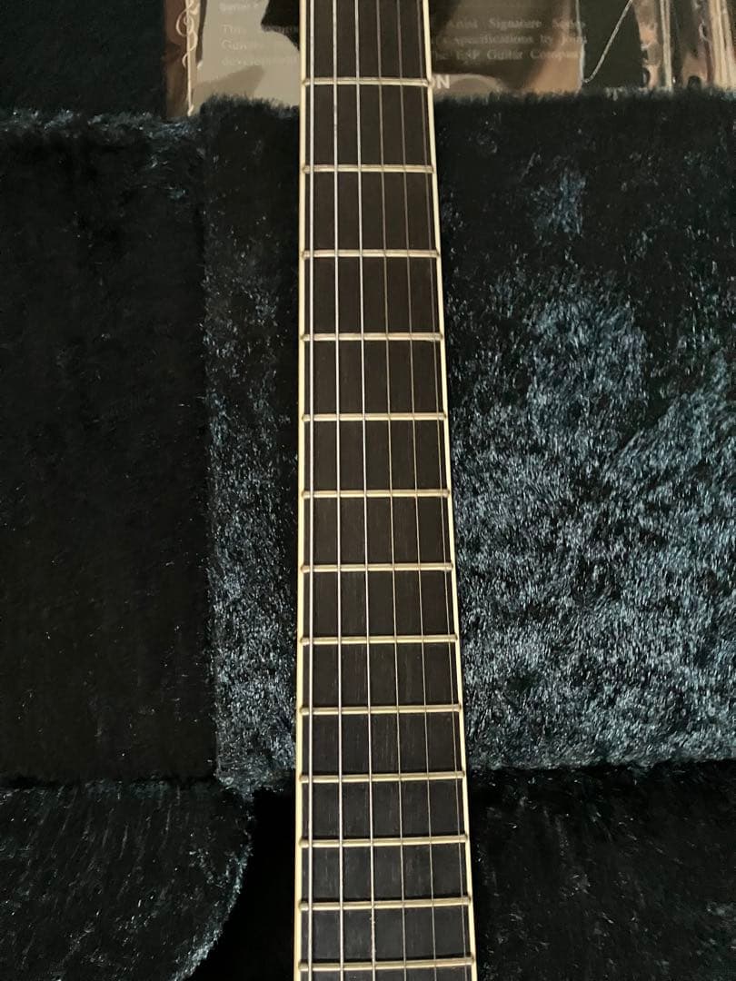 daizo ESP SUGIZO eclips ブラックパイソンs-1