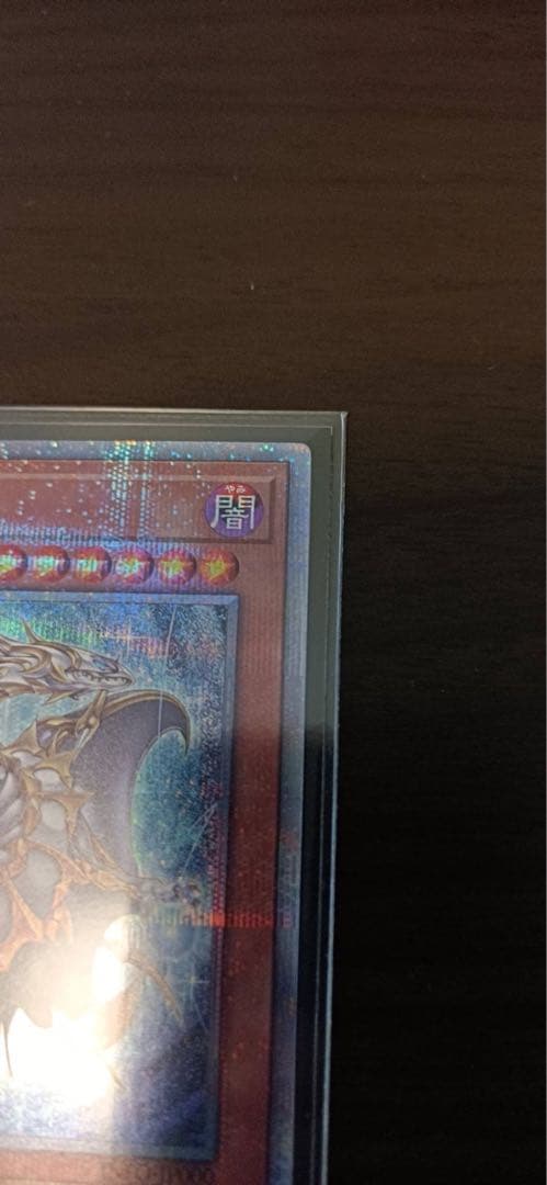 誇りと魂の龍　25th クオシク