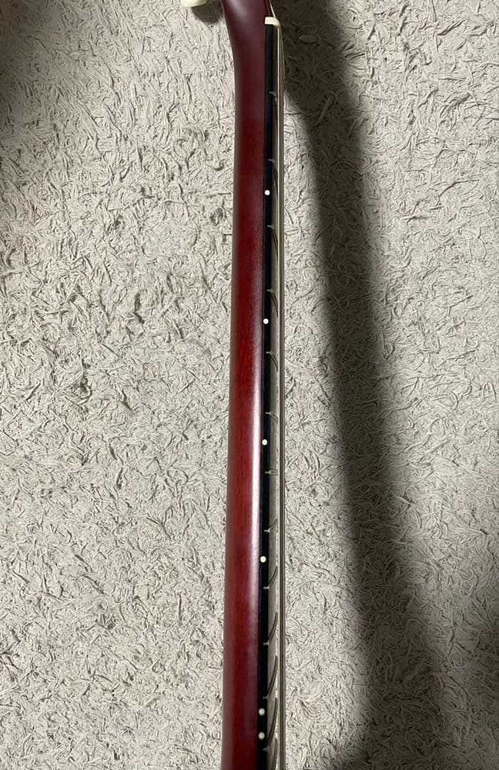 【レア美品】ゴダン Godin ACS Slim SA ナイロンギター 黒