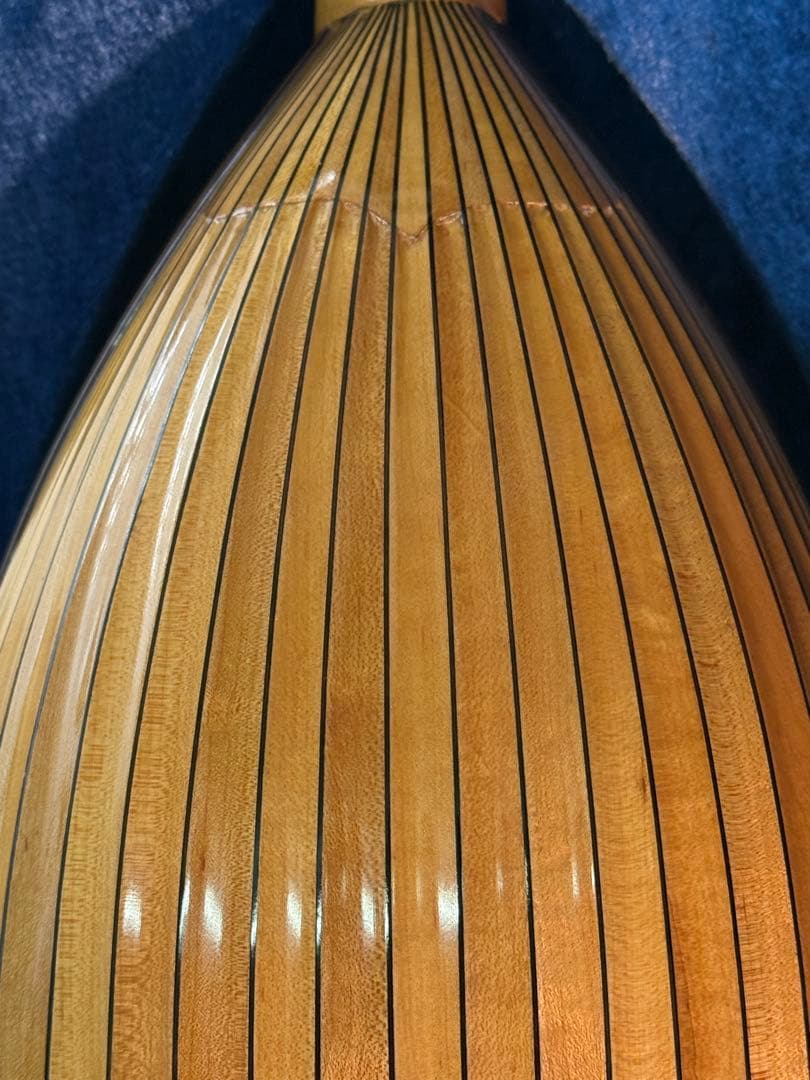 マンドリンSUZUKI M-100 ケースとセット