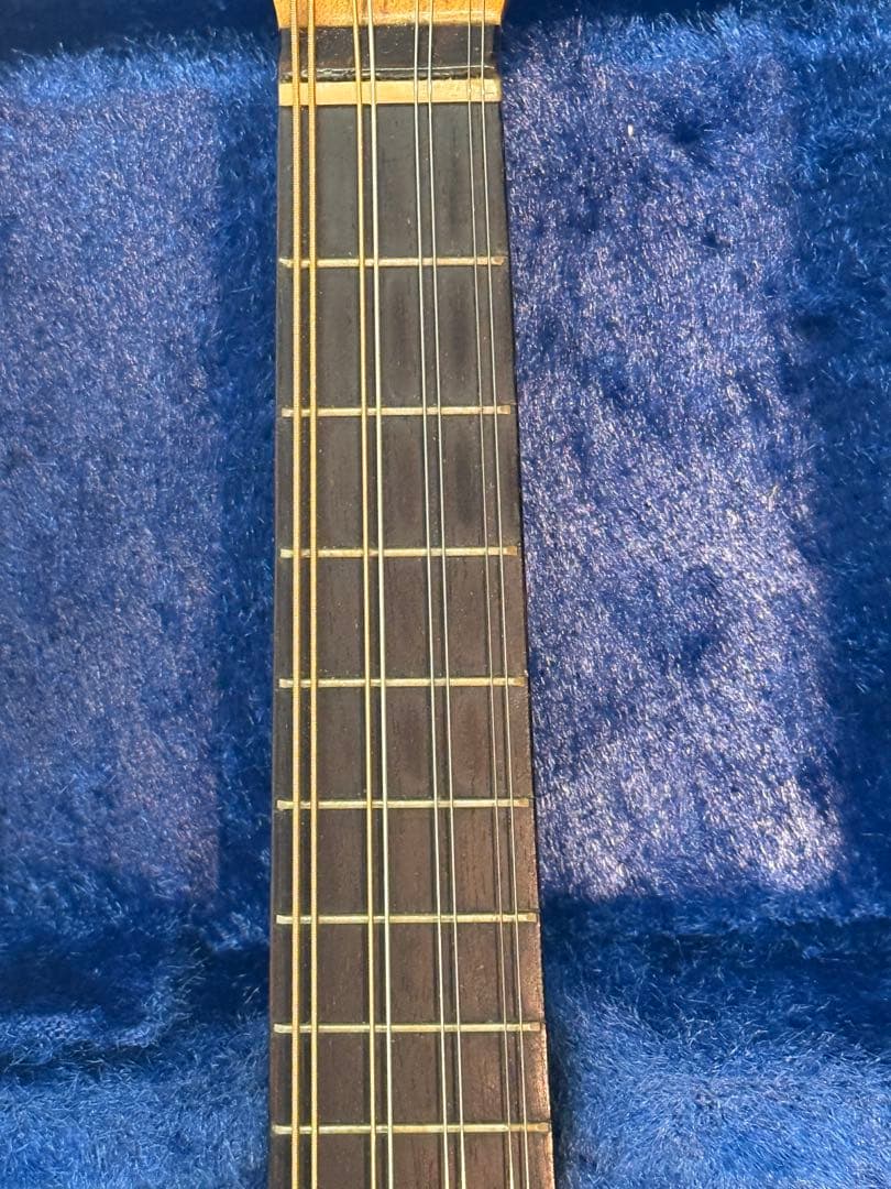 マンドリンSUZUKI M-100 ケースとセット