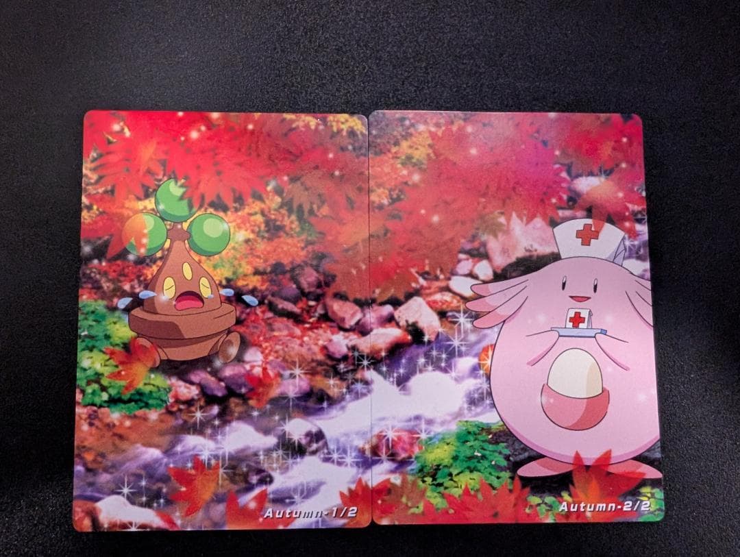 THE POKEMON WEEKLY Autumn1・2