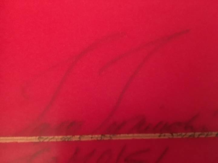 グレースサーフボード fcsフィン付き