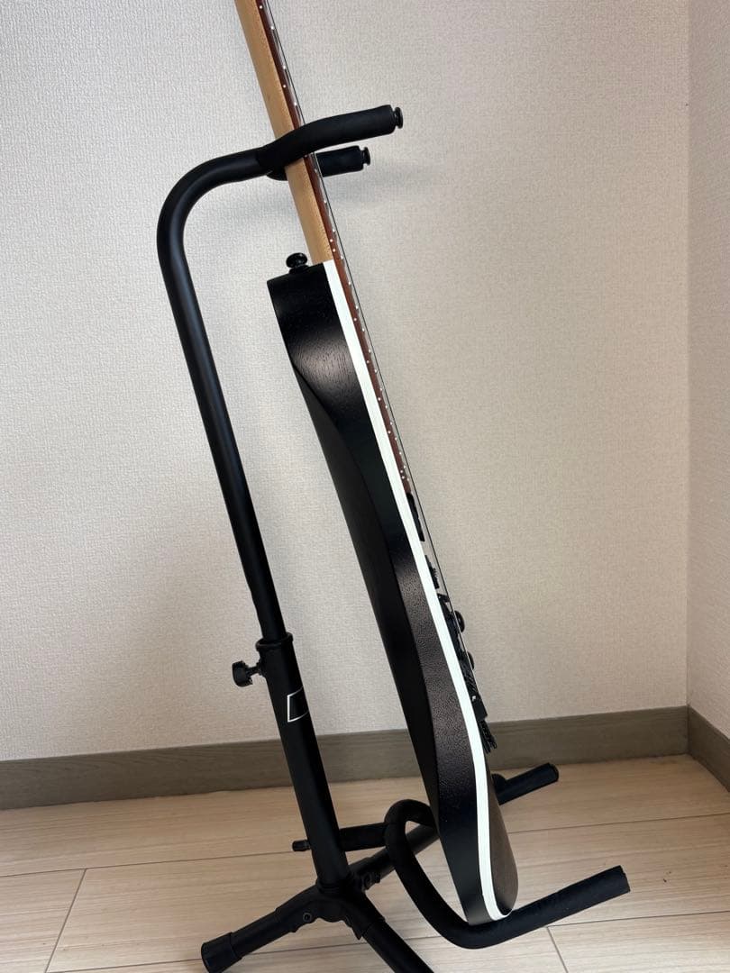 エレキギター アイバニーズ Ibanez RG370ZB-WK