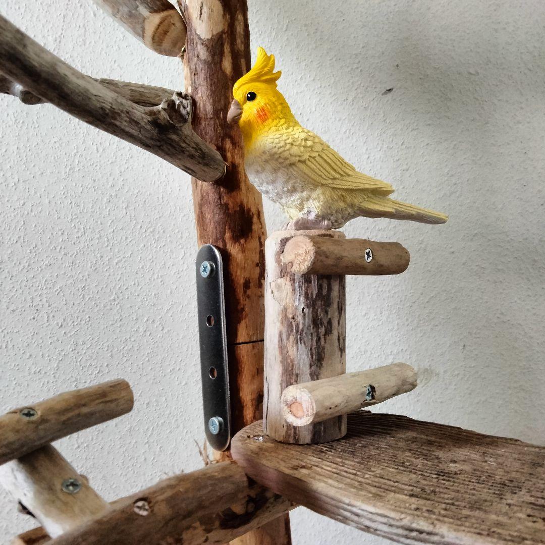 バードアスレチックジム㊻ 天然木 自然木 流木 止まり木 インコ