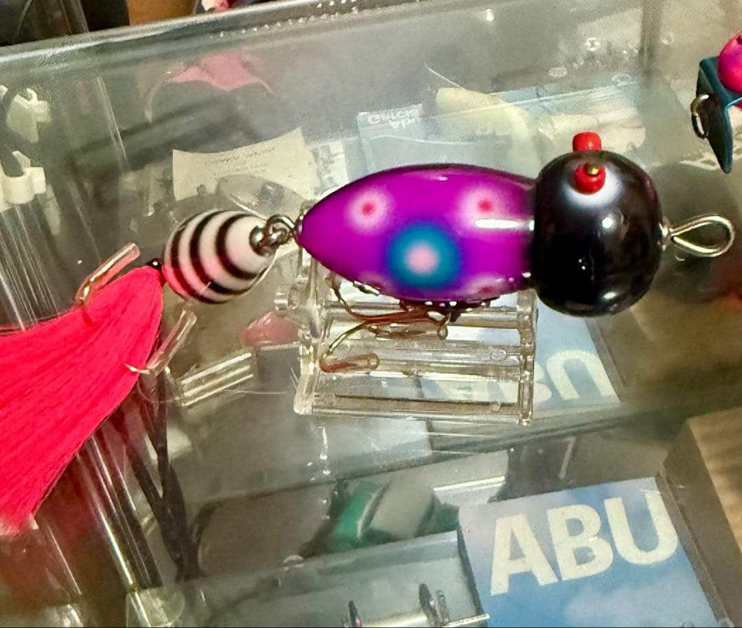 道楽 DOWLUCK A君じゃないよ どくいちご