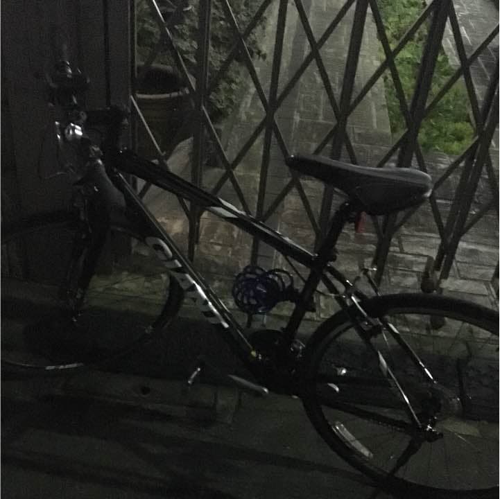 「値段交渉あり」GIANT escapeRX3