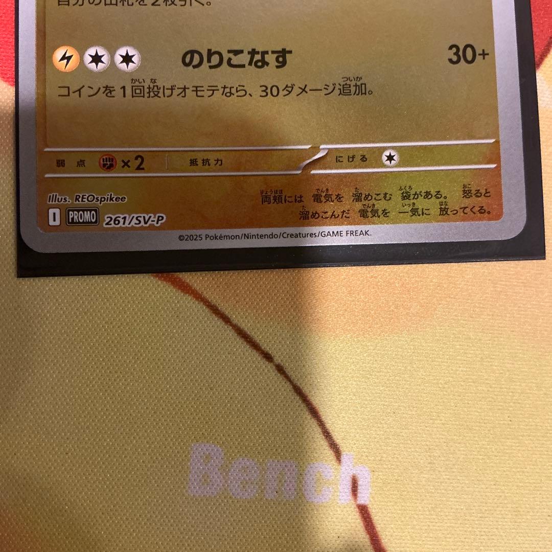 ヒロシマのピカチュウ