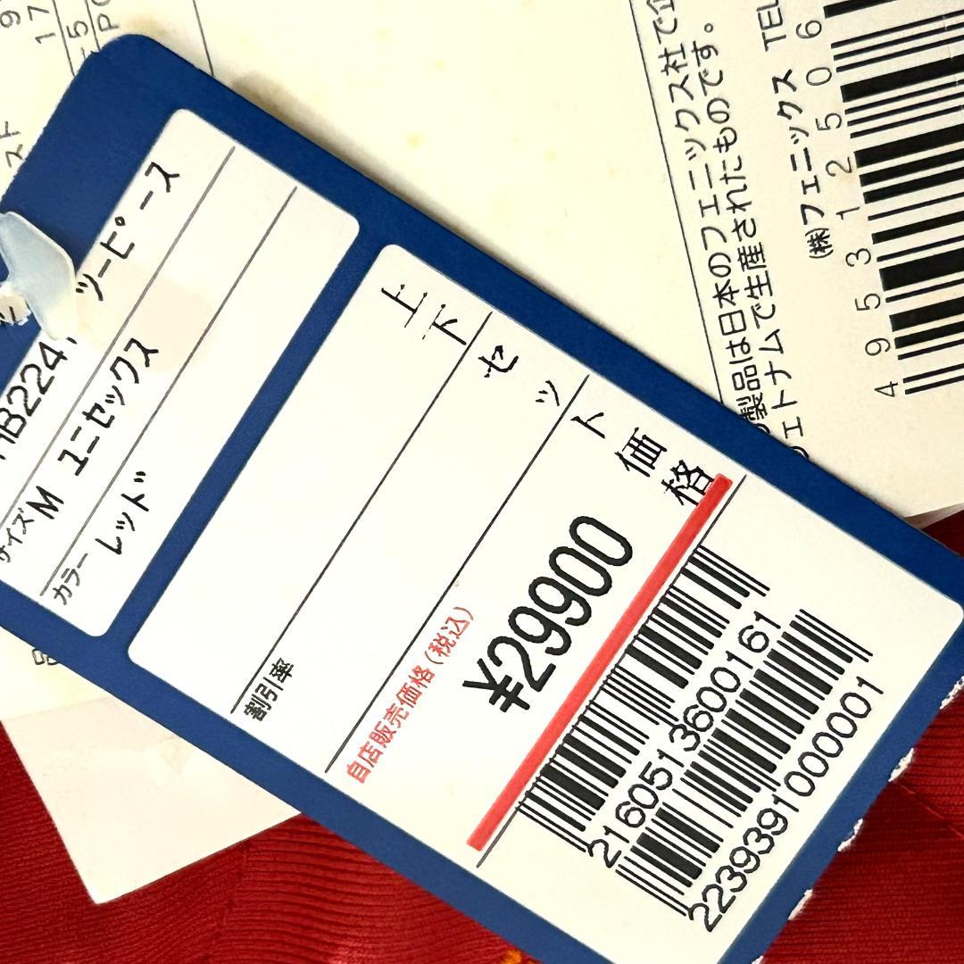 新品　PHENIX フェニックス スキーウェア スノーボードウェア M