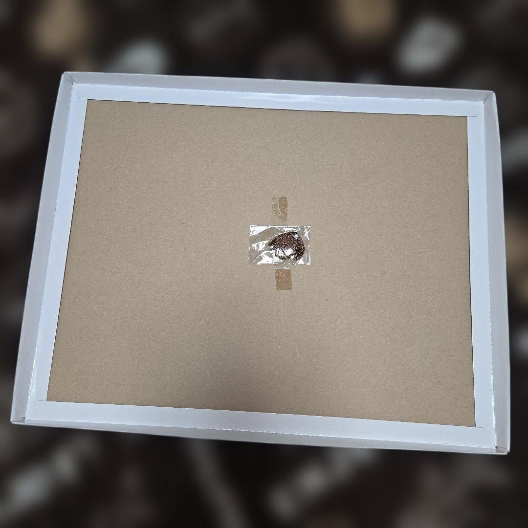 DVD 全巻購入特典 キャラファイングラフ 鬼滅の刃 冨岡義勇 柱稽古編