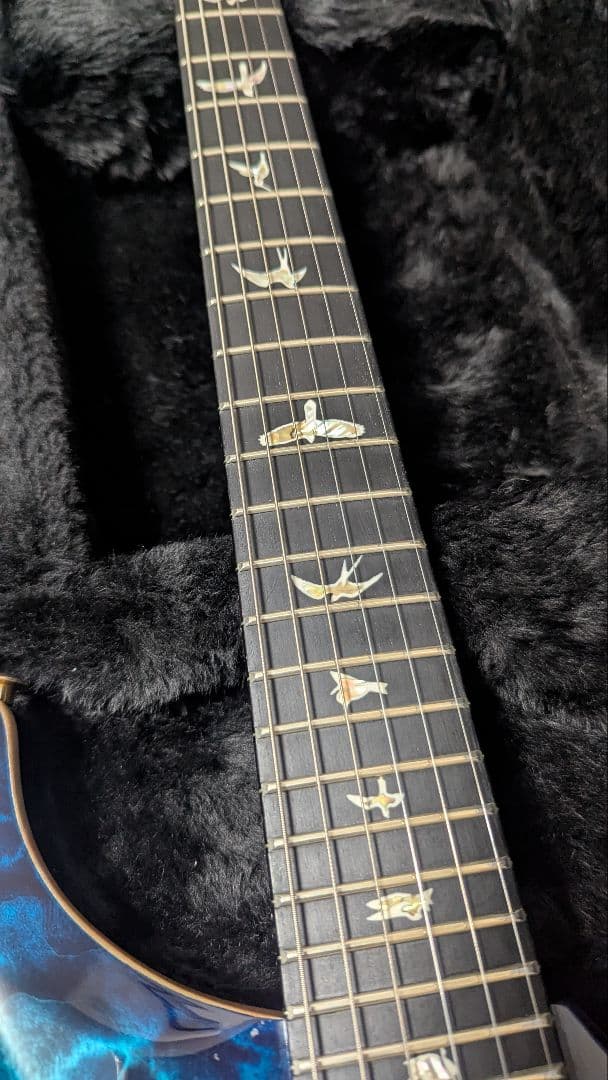 ギター paul reed smith custom24 10 top