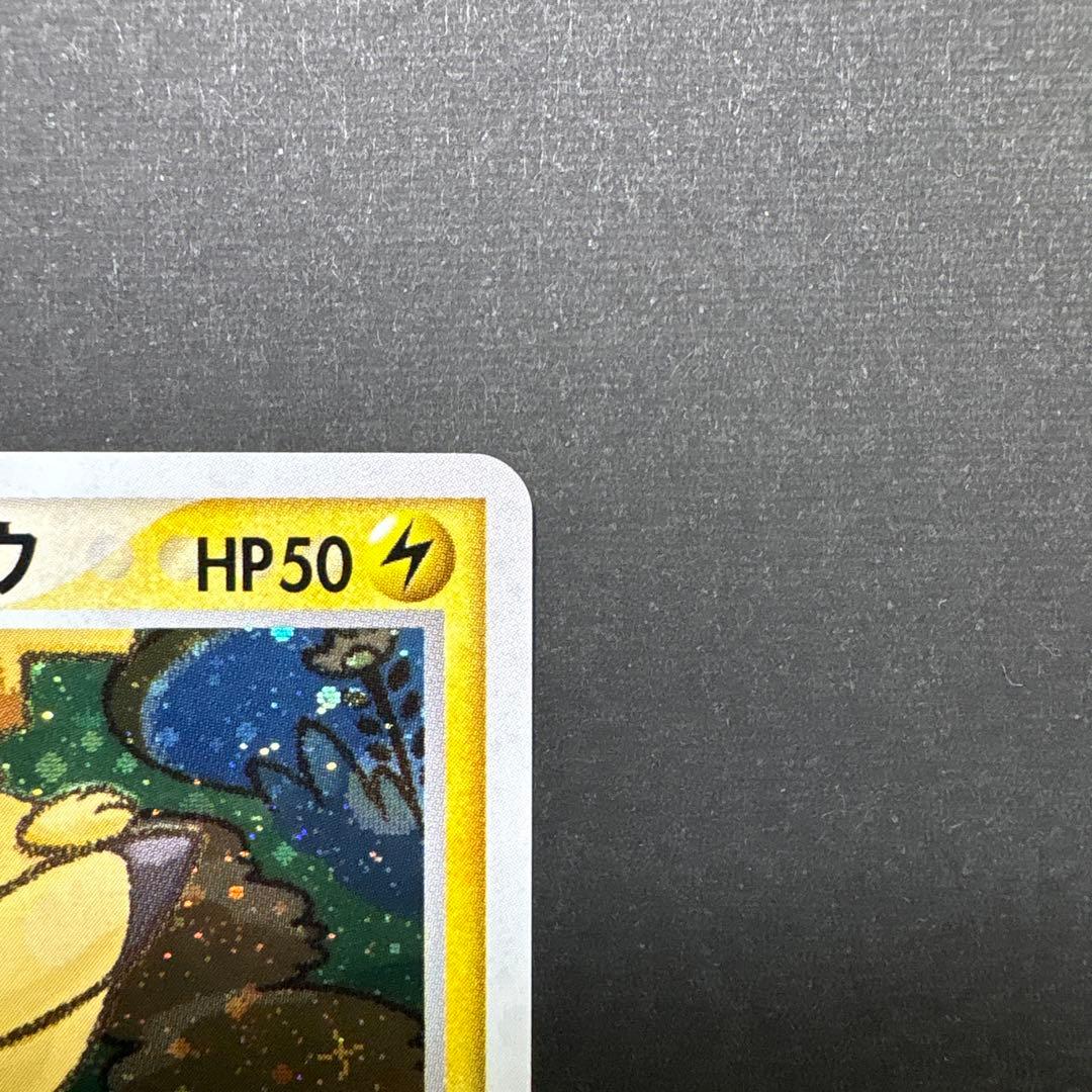 ポケパークのピカチュウ （004/009）