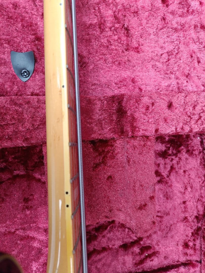 ESP プレシジョンベース　ソフトケース付き