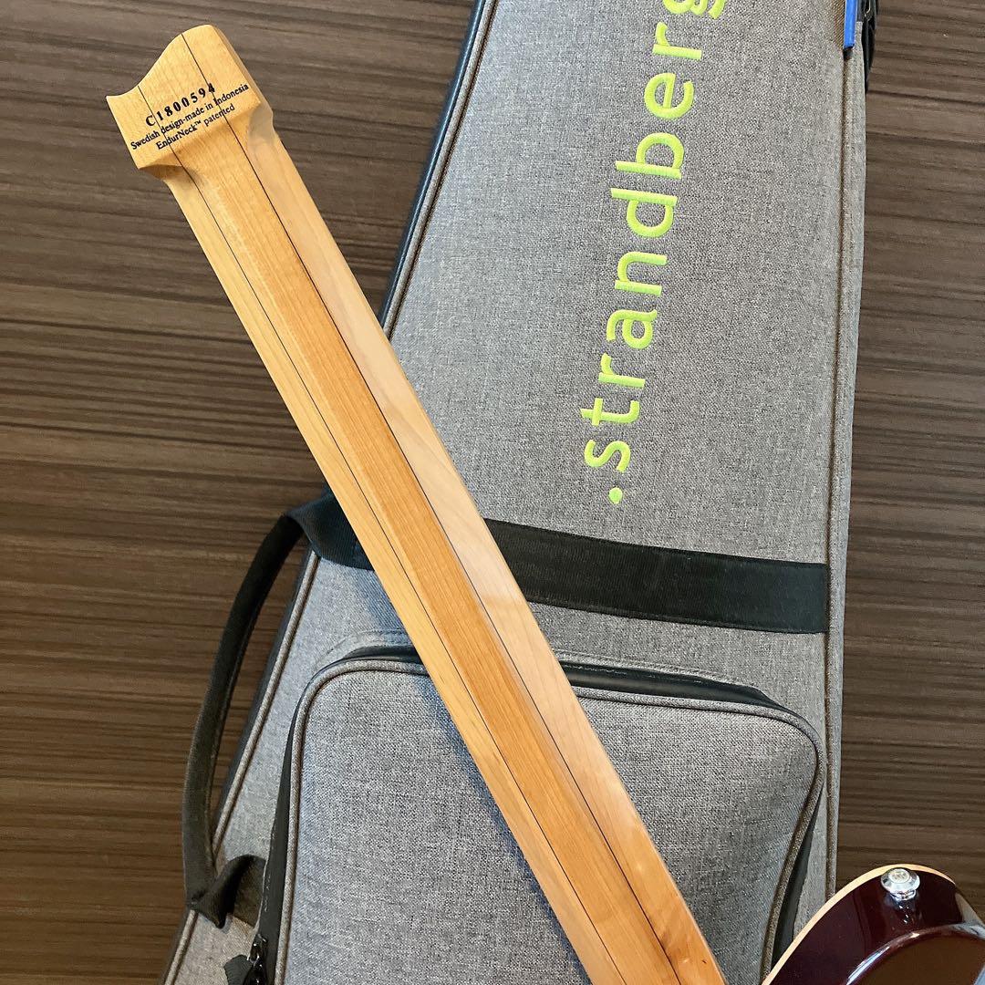 【最終値下げ】strandberg Salen Deluxe