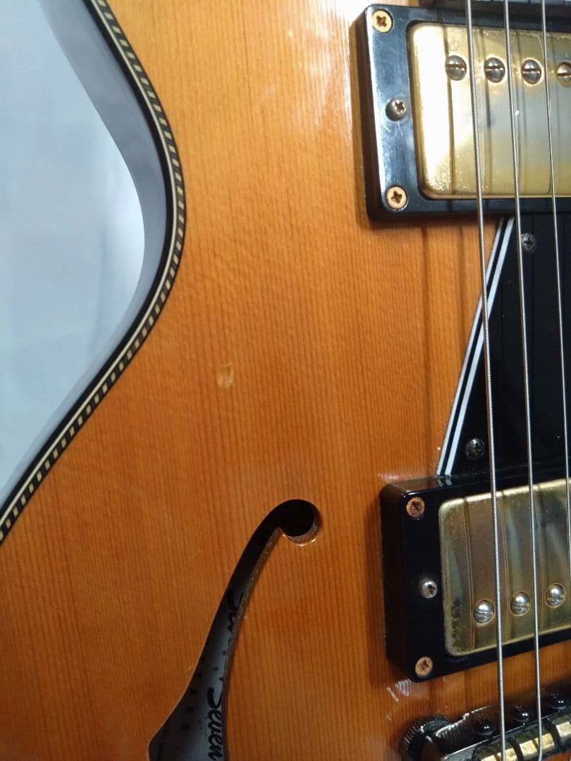 ギター SeventySeven Guitars ALBATROSS-JAZZ NA