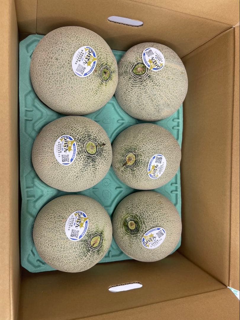 13【北海道産】青肉メロン （品種名：らいでんクラウン) 6玉　約8.5kg