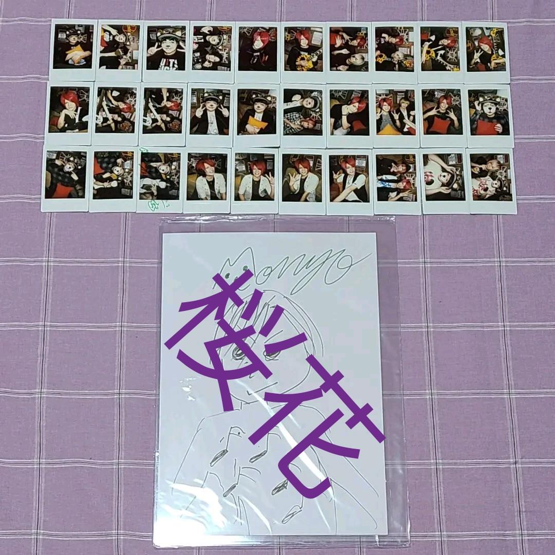 BabyKingdom べびきん セット