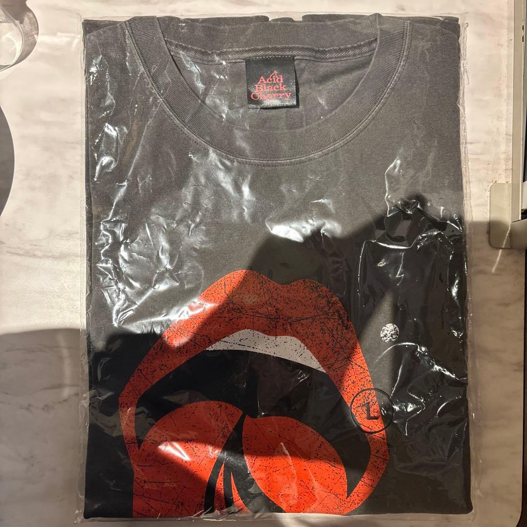 Acid Black Cherry winter2025-2026 Lシャツ