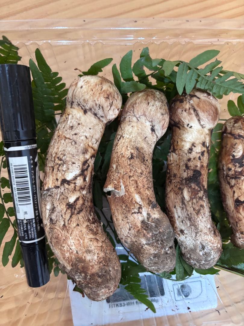 岩手県産松茸 216g 本日の10時までのご購入で本日発送