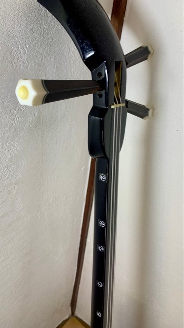 三線 沖縄 両面蛇皮 表側強化二重張り カラクイ1本弦2本新品交換