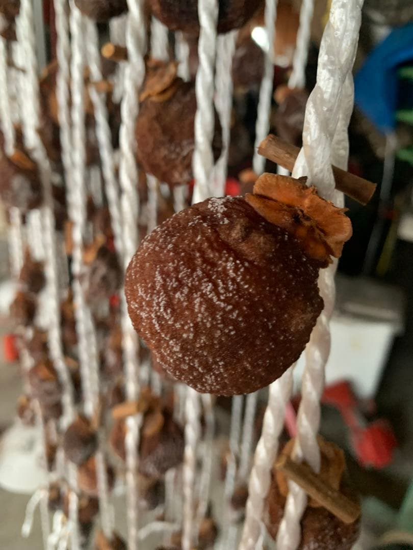 sakura産専用出 山形特産　紅干し柿。蔵王吊るし柿。