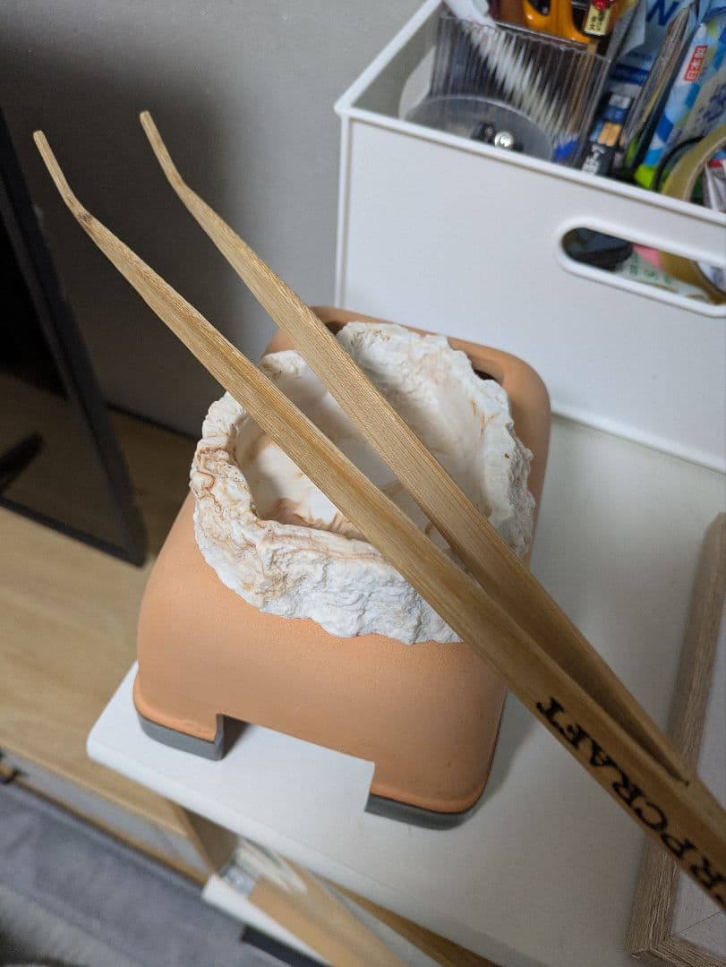 グラステラリウム3030 自作専用温室セット プラスおまけ