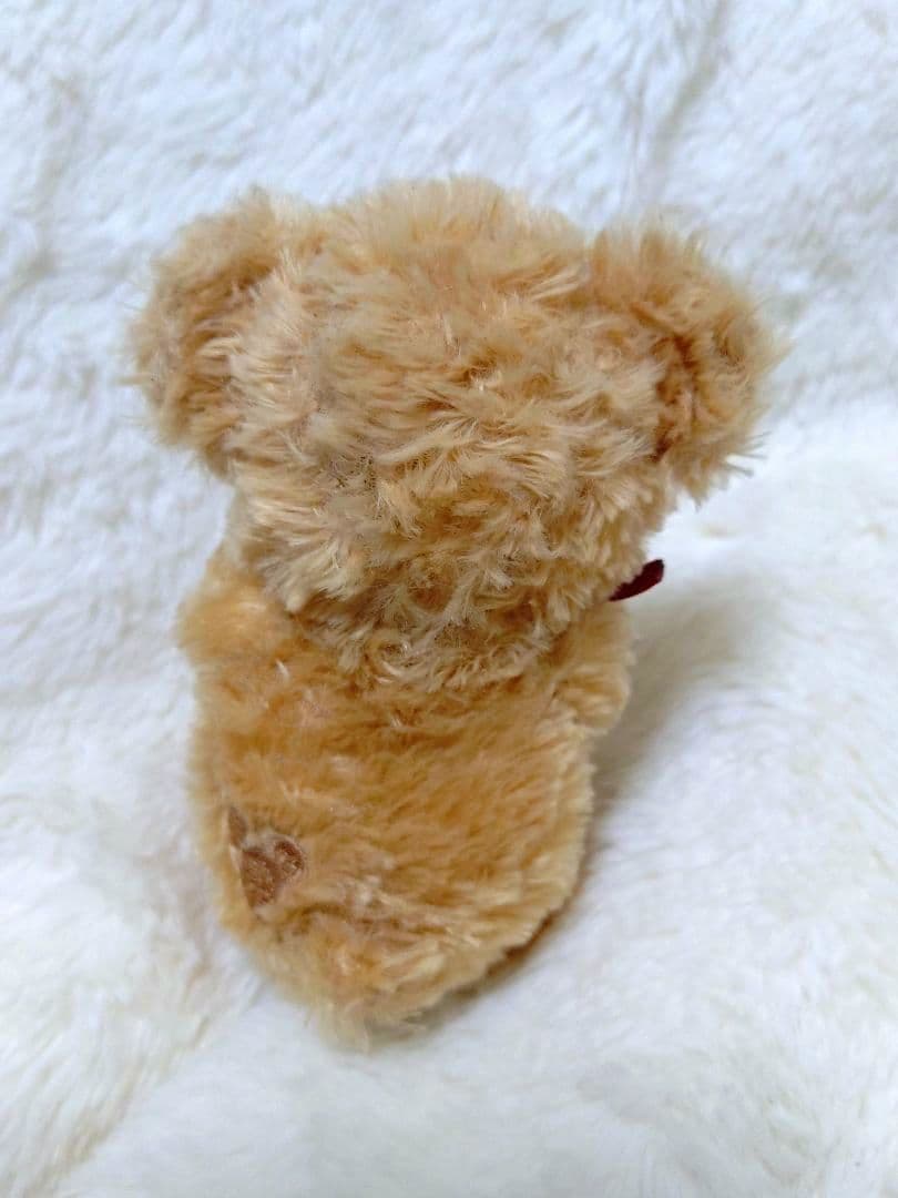 【激レア】ダッフィー　ディズニー　ケープコッド　廃盤　入手困難　初期　日本限定