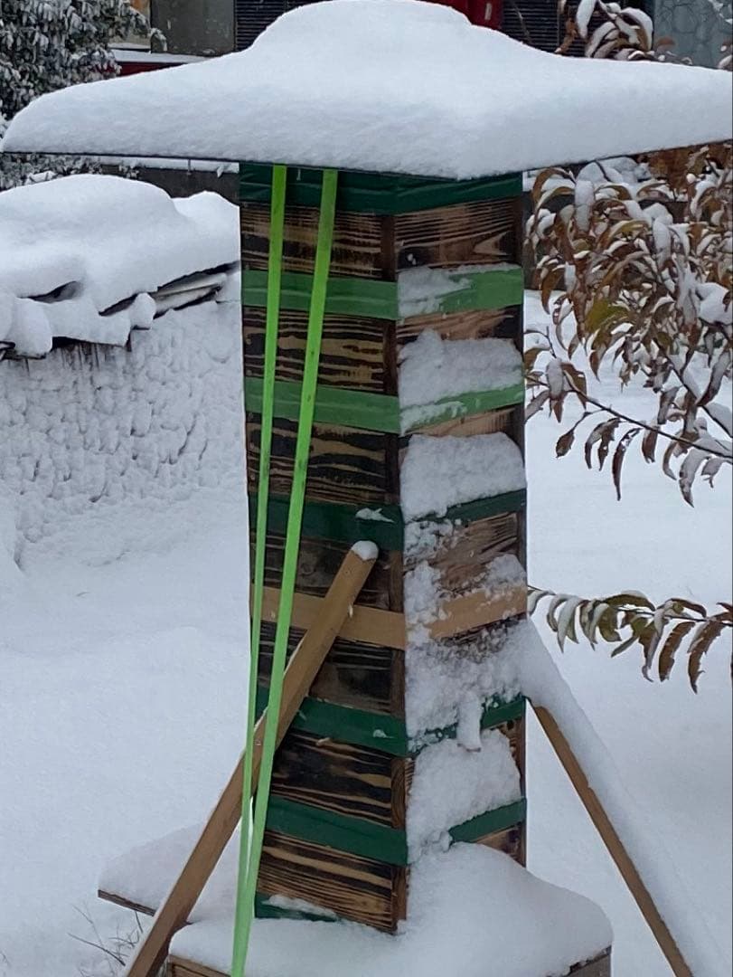 日本ミツバチ重箱式巣箱　捕獲飼育用　待ち箱