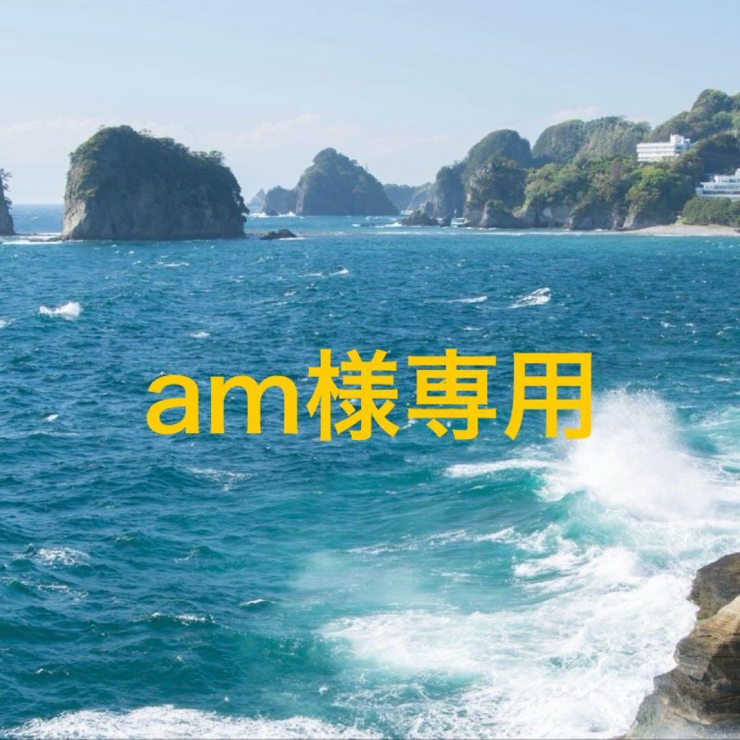 魚介類(加工食品) am