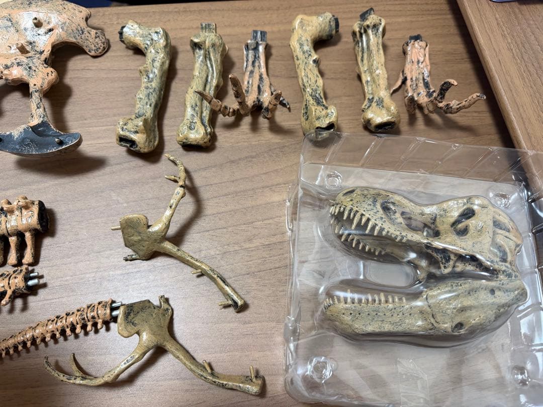 EDU-TOYS エデュトイ 恐竜工作 キット 51ピース ティラノサウルス