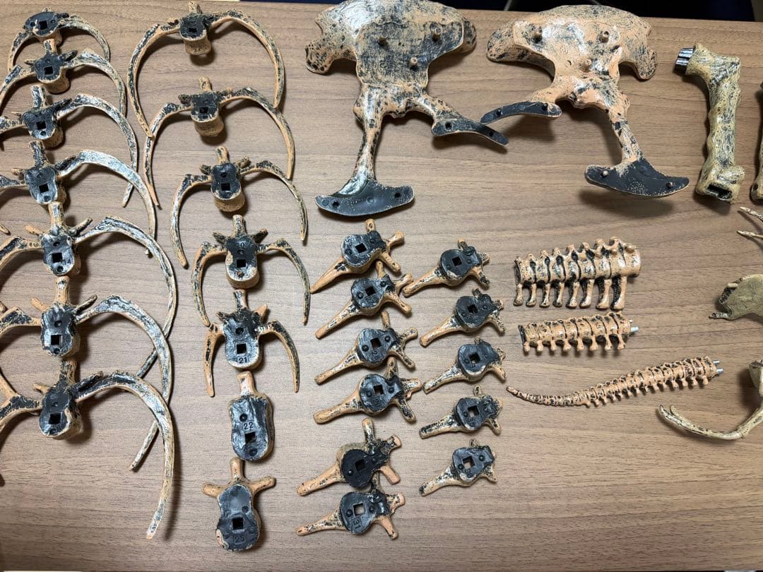 EDU-TOYS エデュトイ 恐竜工作 キット 51ピース ティラノサウルス