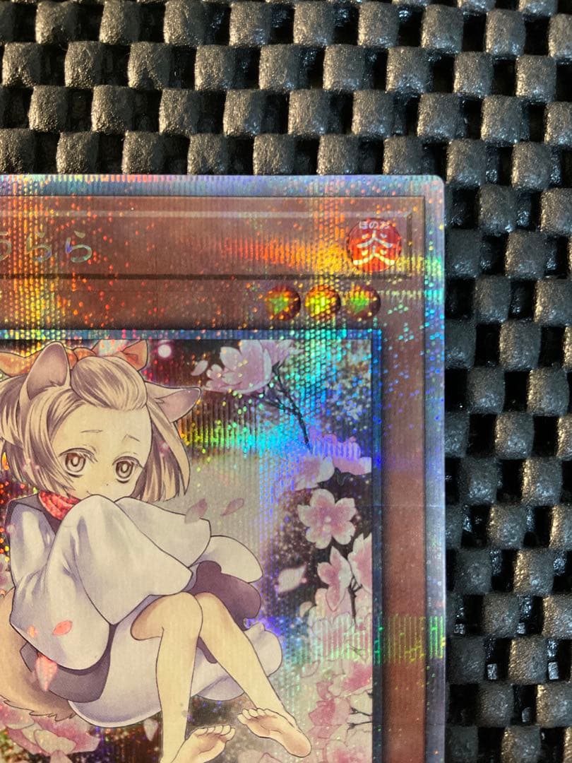 遊戯王 灰流うらら 絵違い 25th クオシク QCAC