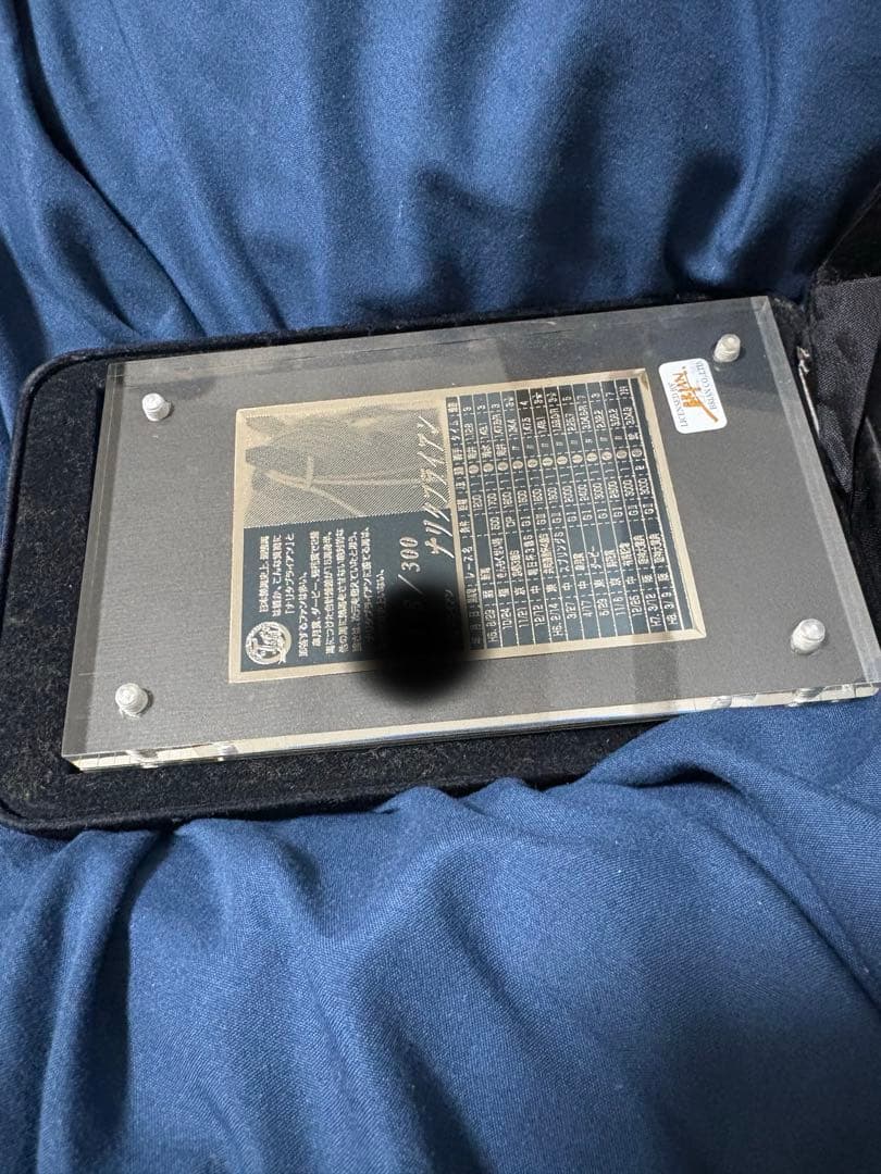 貴重　ナリタブライアン　300枚限定　レア　記念