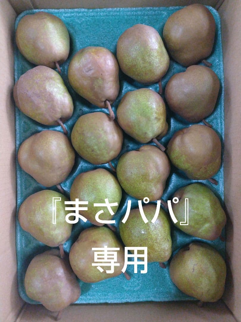 山形県産『ラ・フランス』5kg 2L 18玉 3箱15kg　まさパパさん専用