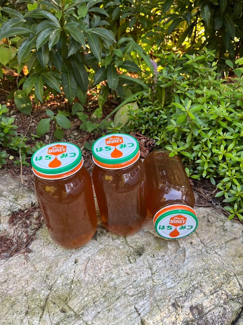 日本蜜蜂ハチミツ/百花蜜/1kg×2本/限定40kg