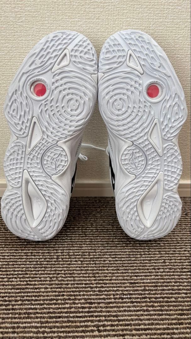 ミズノ　ウエーブモーメンタム エリートV1GA2512 バレーシューズ24センチ