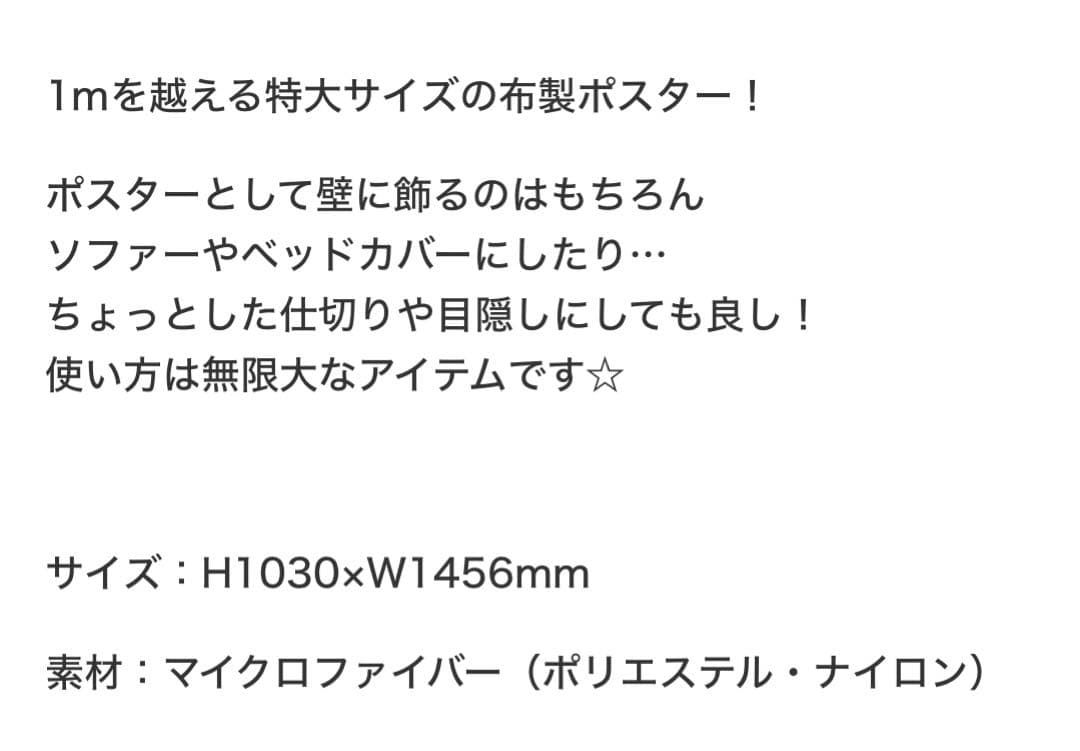 Nissy NEP限定 パズル&ファブリックポスター セット