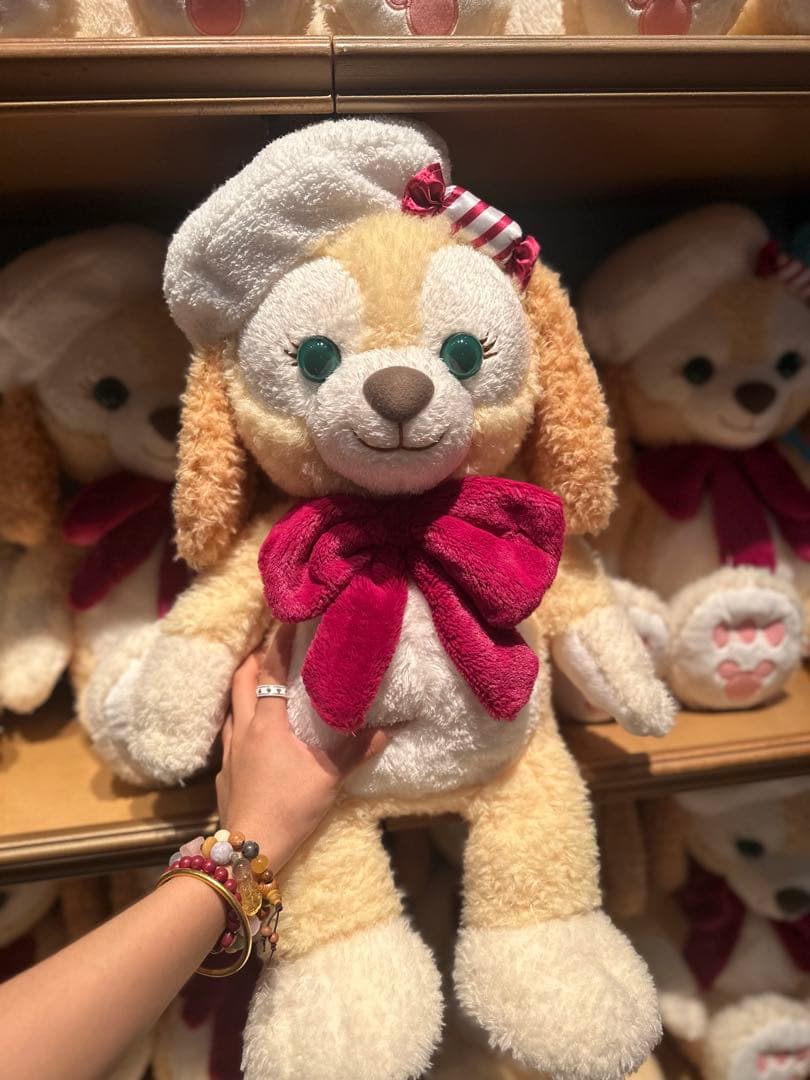 東京ディズニー　クッキーアン2023