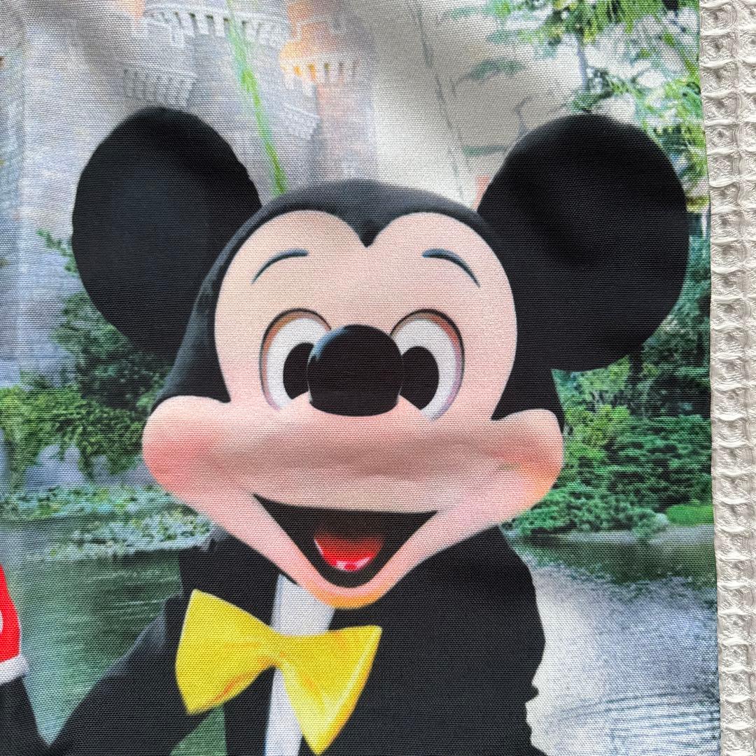 希少 ディズニーリゾート30周年 ミッキーミニー実写トートバッグ