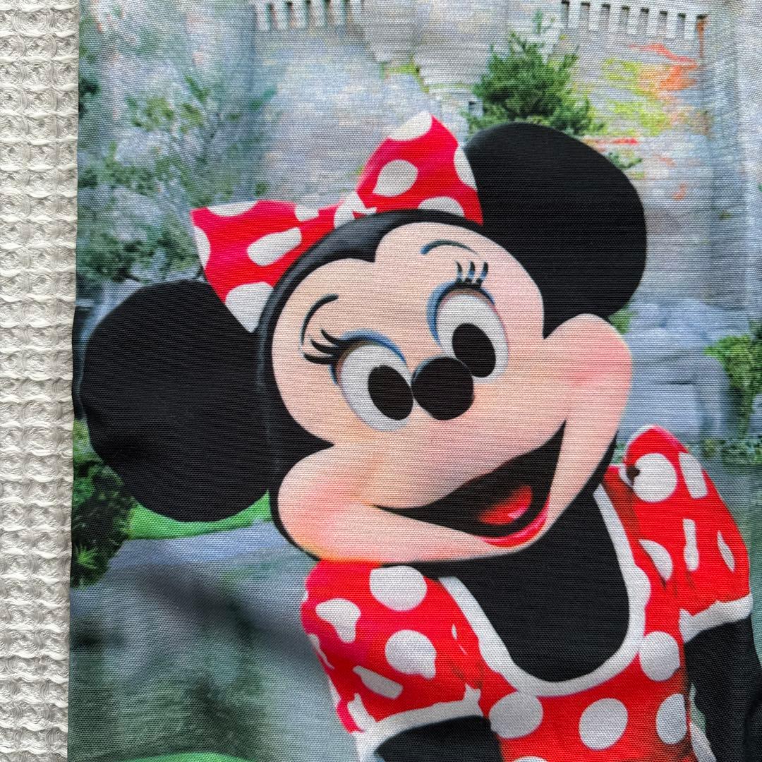 希少 ディズニーリゾート30周年 ミッキーミニー実写トートバッグ