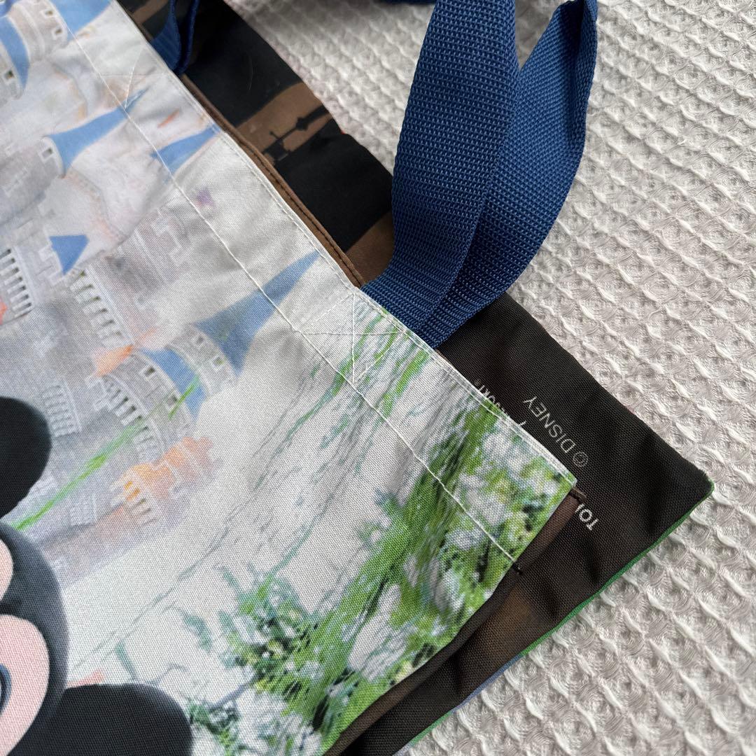 希少 ディズニーリゾート30周年 ミッキーミニー実写トートバッグ