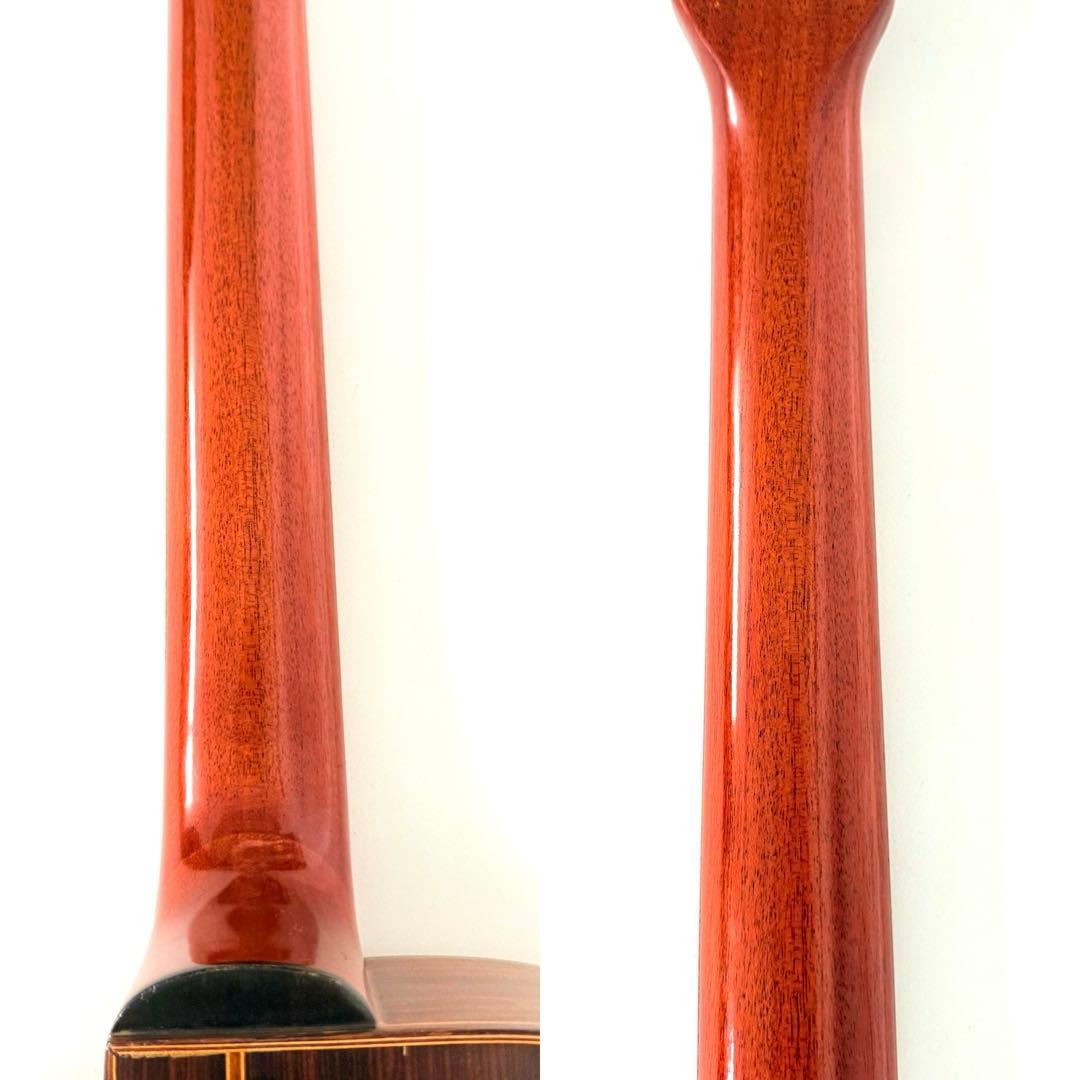 【希少】SAGA JAPAN BM500 Django Jazz Guitar