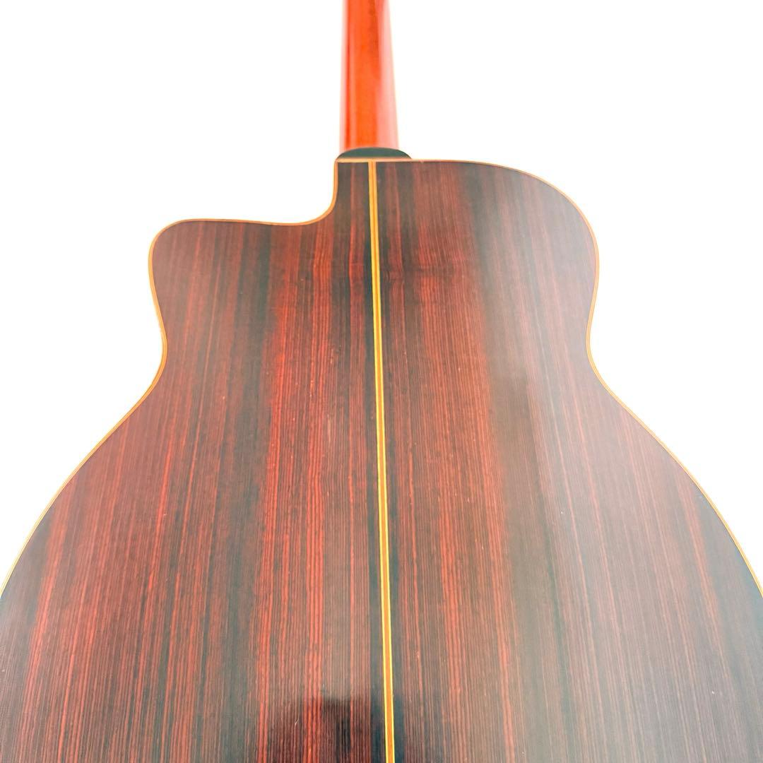 【希少】SAGA JAPAN BM500 Django Jazz Guitar