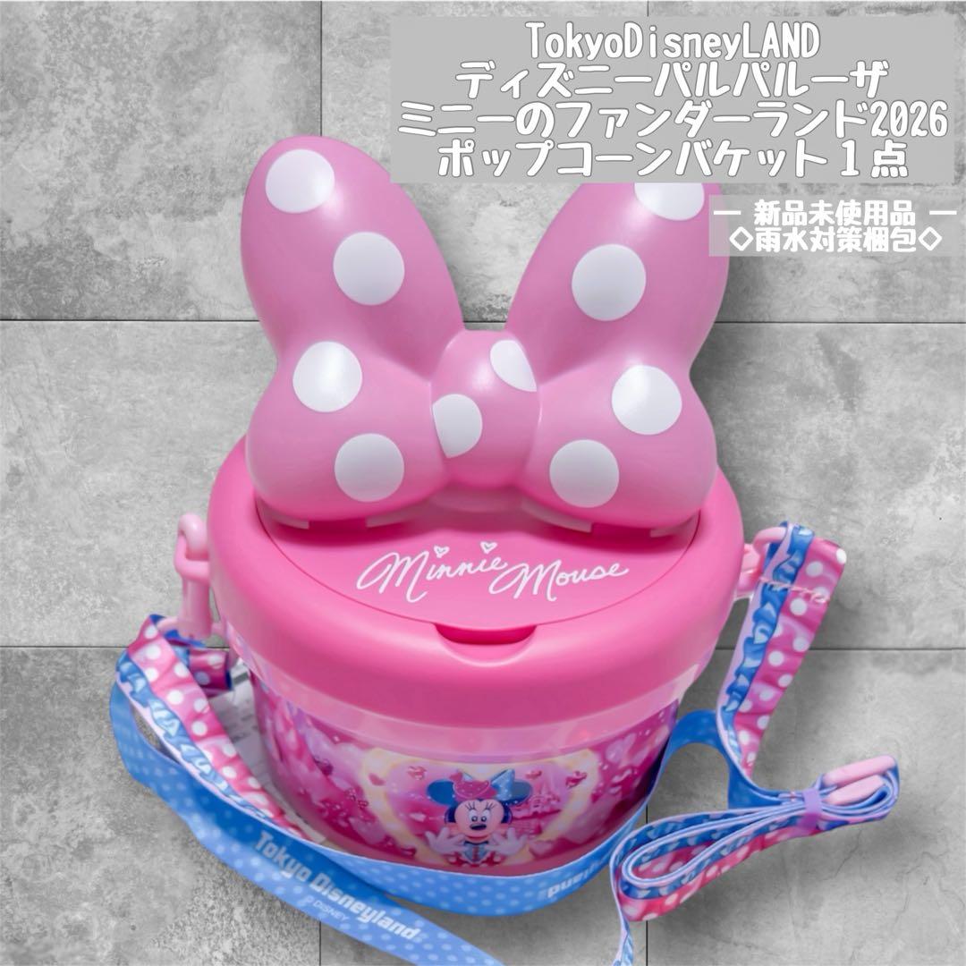 ディズニー パルパルーザ ファンダーランド ポップコーンバケット