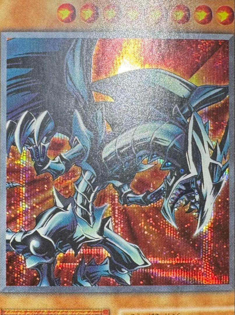 レッドアイズブラックメタルドラゴン/機械族/ 遊戯王/初期シークレット