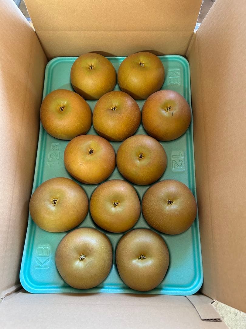 メグ　10キロ　甘太